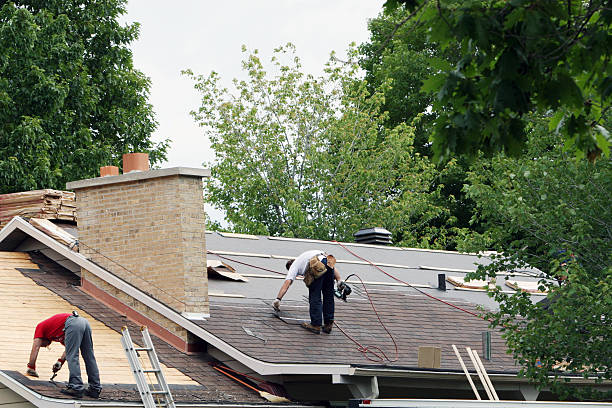 Best Storm Damage Roof Repair  in Mountain Lake, MN