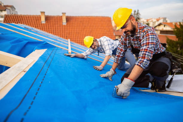 Roof Waterproofing Services in Mountain Lake, MN